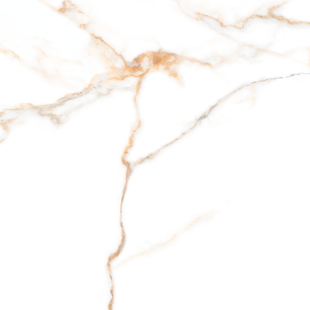 Patrick RR78M トップ Portal Grupo Rocha